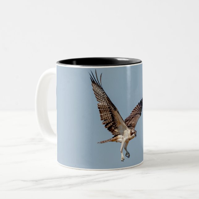 Juvenile Osprey in flight Two-Tone Coffee Mug (Front Left)