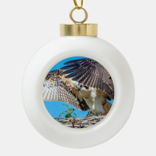 Juvenile Osprey in the nest Ceramic Ball Christmas Ornament