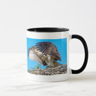Juvenile Osprey in the nest Mug