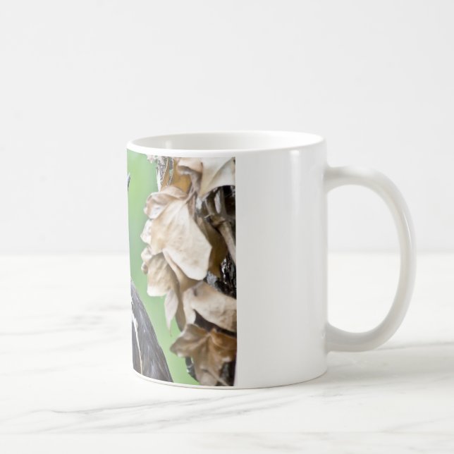 Juvenile Pileated Woodpecker Profile Gifts Apparel Coffee Mug (Right)