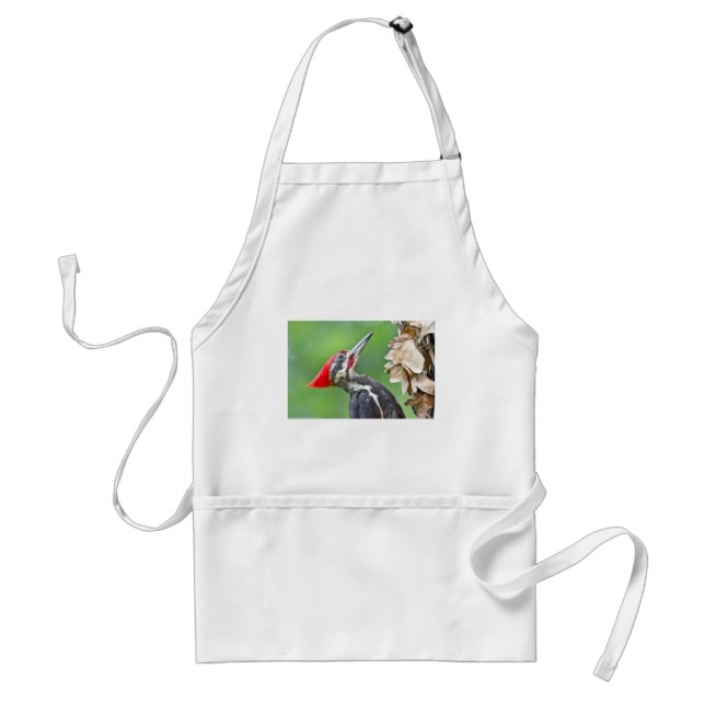 Juvenile Pileated Woodpecker Profile Gifts Apparel Standard Apron (Front)