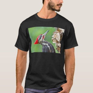 Juvenile Pileated Woodpecker Profile Gifts Apparel T-Shirt