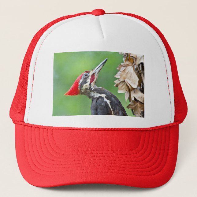Juvenile Pileated Woodpecker Profile Gifts Apparel Trucker Hat (Front)