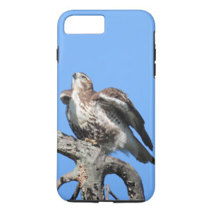 Juvenile Red Tail Hawk iPhone 8 Plus/7 Plus Case