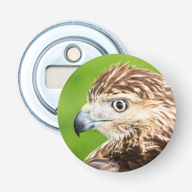 Juvenile Red Tailed Hawk Bottle Opener (Front)