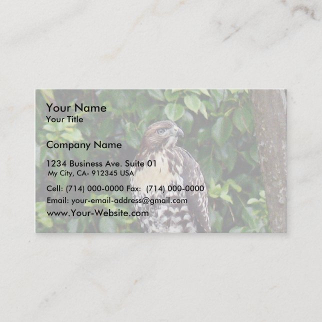 Juvenile red-tailed hawk business card (Front)