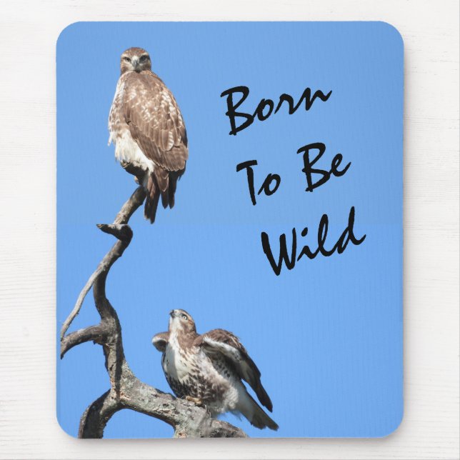 Juvenile Red Tailed Hawk composite  Mouse Mat (Front)