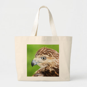 Juvenile Red Tailed Hawk Large Tote Bag