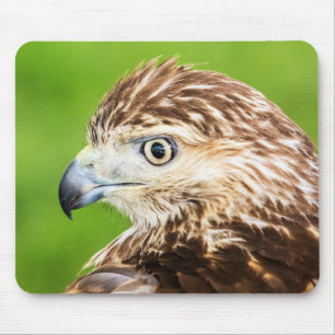 Juvenile Red Tailed Hawk Mouse Mat