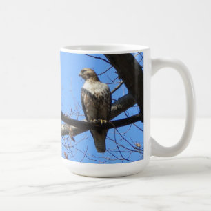 (Juvenile) Red Tailed Hawk Mug