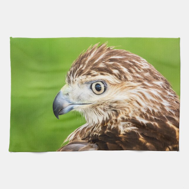 Juvenile Red Tailed Hawk Tea Towel (Horizontal)