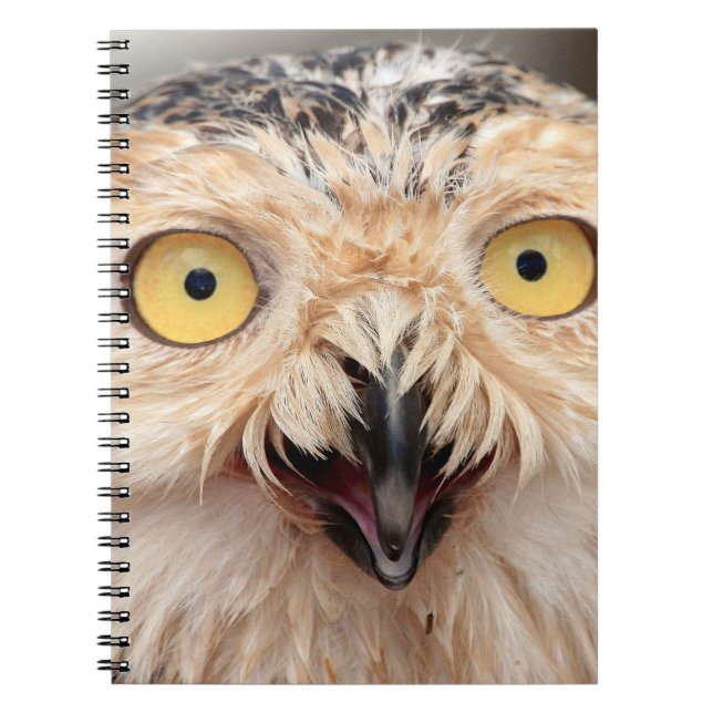 Juvenile Snowy Owl Notebook (Front)