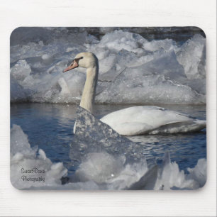 Juvenile Swan in Icey River Mouse Mat