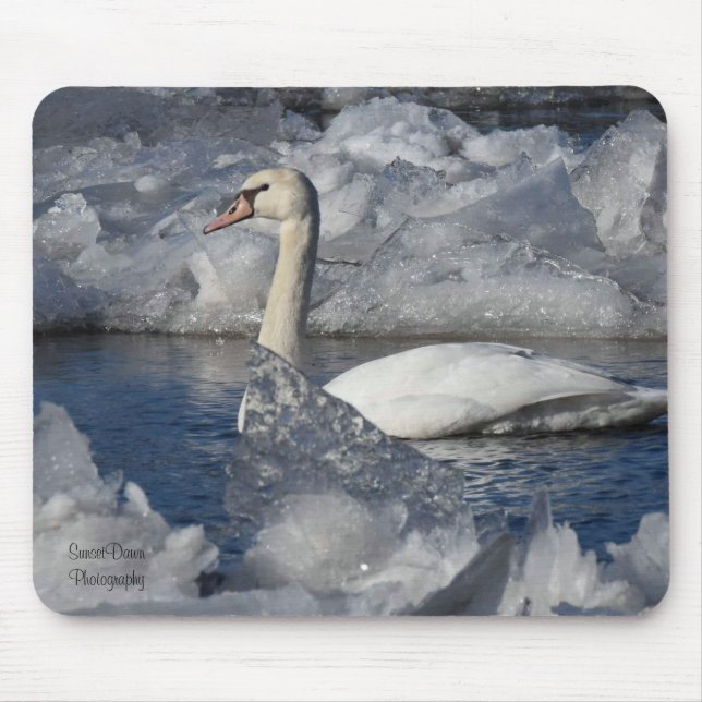 Juvenile Swan in Icey River Mouse Mat (Front)
