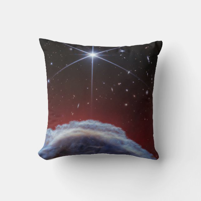 JWST Image of the Horsehead Nebula Cushion (Front)
