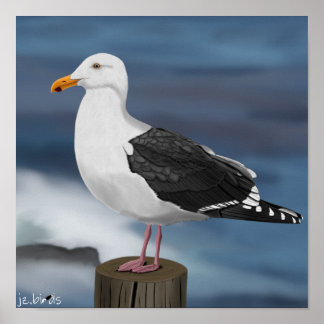 jz.birds Möwe Poster