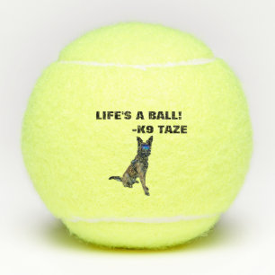 K9 Taze ball