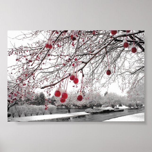 K&K Winter Berry Poster (Front)