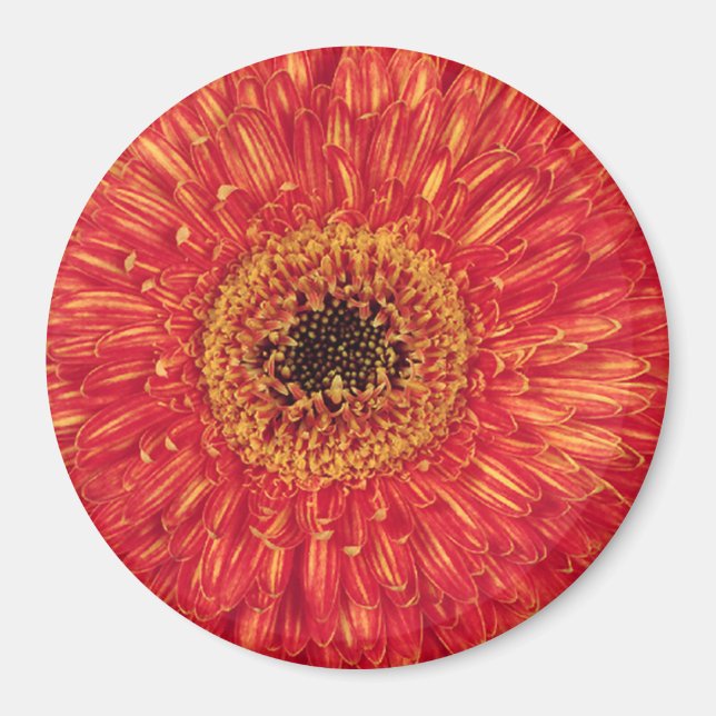 KA-Bloom! Magnet (Front)