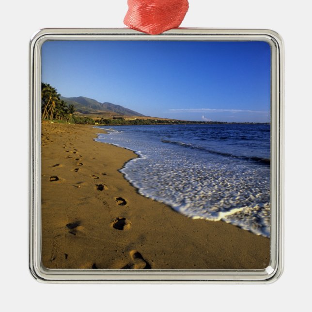 Kaanapali beach, Maui, Hawaii, USA Metal Tree Decoration (Front)