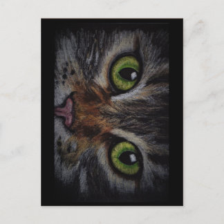 Kaart kat postcard