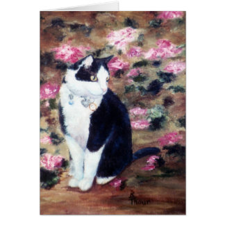Kaboodles Cat Blank Card