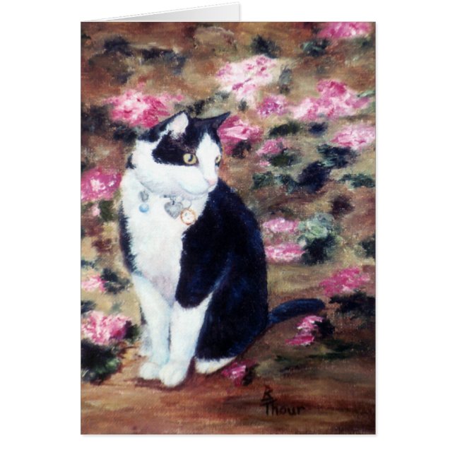 Kaboodles Cat Blank Card (Front)