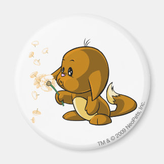 Kacheek Brown Magnet