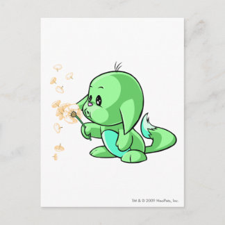 Kacheek Green Postcard