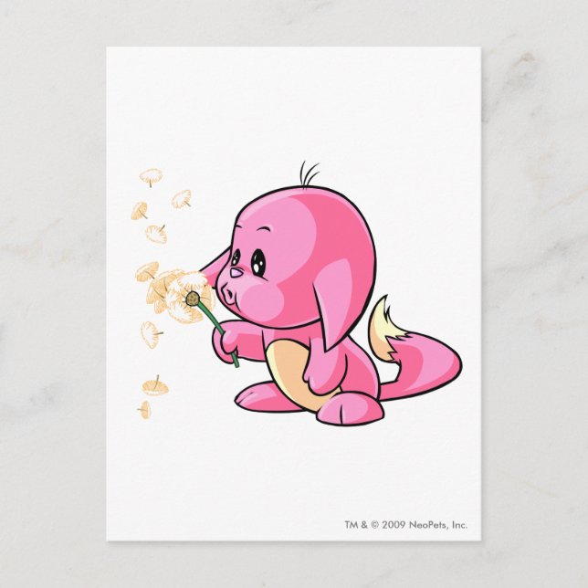Kacheek Pink Postcard (Front)