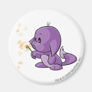 Kacheek Purple Magnet