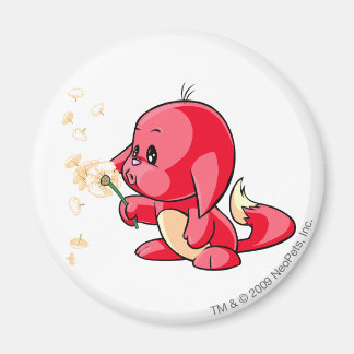 Kacheek Red Magnet