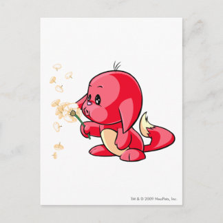 Kacheek Red Postcard