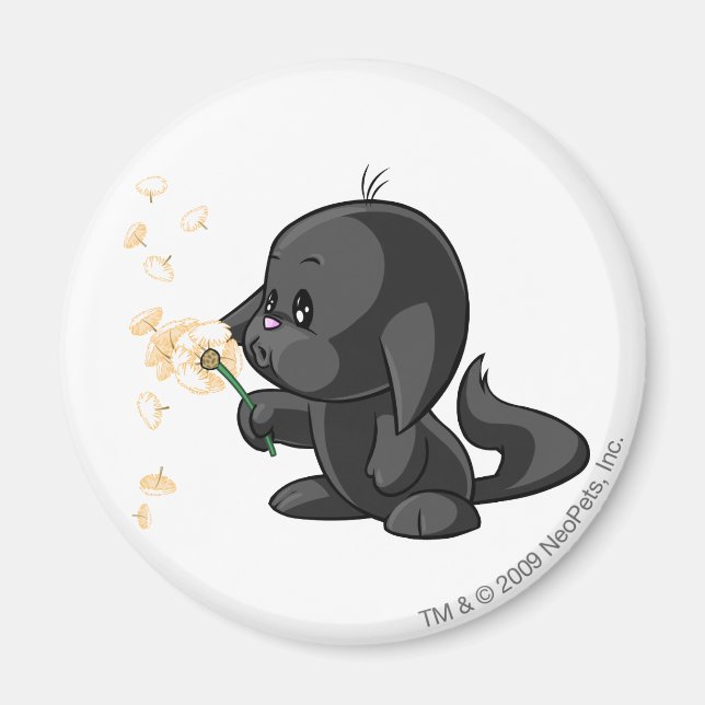 Kacheek Shadow Magnet (Front)