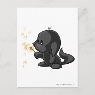 Kacheek Shadow Postcard
