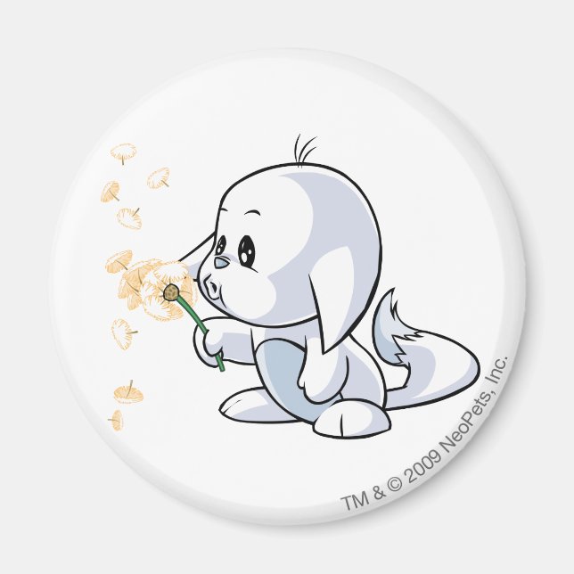 Kacheek White Magnet (Front)