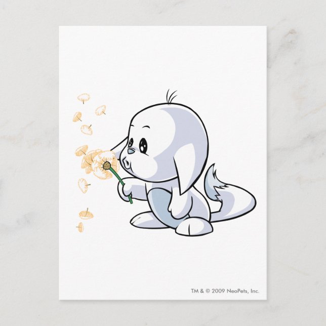 Kacheek White Postcard (Front)