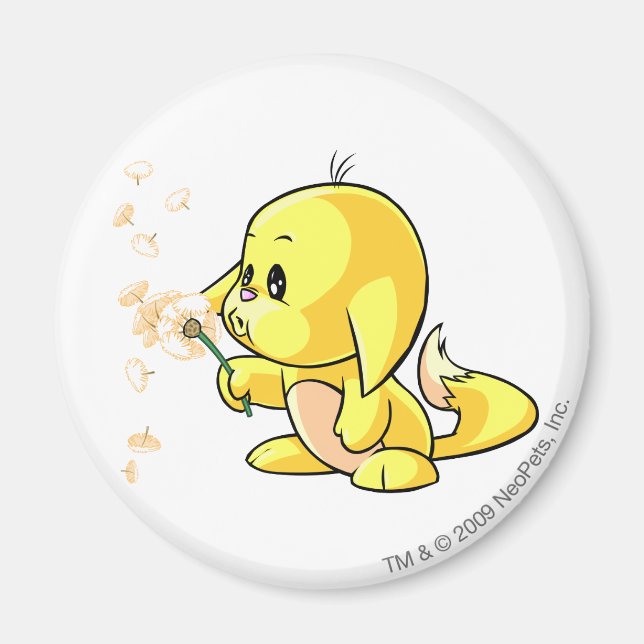 Kacheek Yellow Magnet (Front)