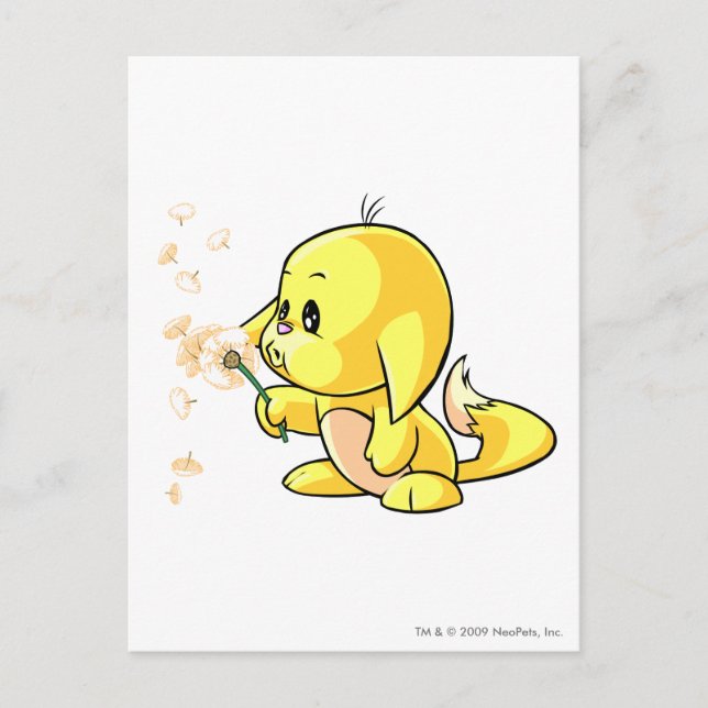 Kacheek Yellow Postcard (Front)
