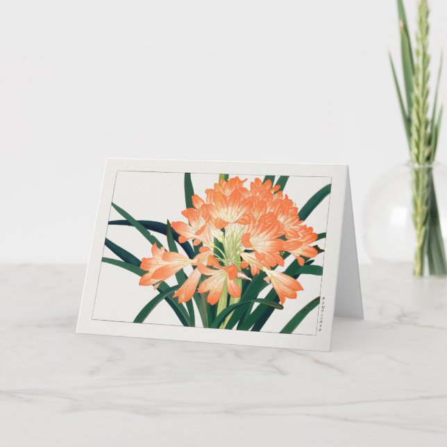 Kaffir lily by Tanigami Konan Card (Front)