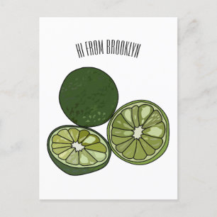 Kaffir lime cartoon illustration postcard