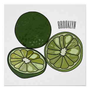 Kaffir lime cartoon illustration poster