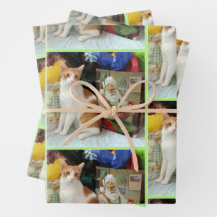 Kagan's Christmas Gifts - Cat / Kitten  Wrapping Paper Sheet