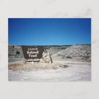 Kaibab National Forest Sign Postcard