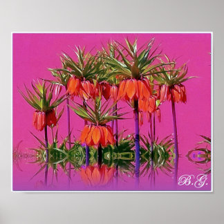 Kaiserkrone/Fritillaria imperialis Poster