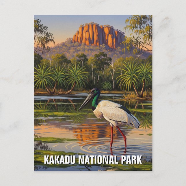 Kakadu National Park Australia Postcard (Front)