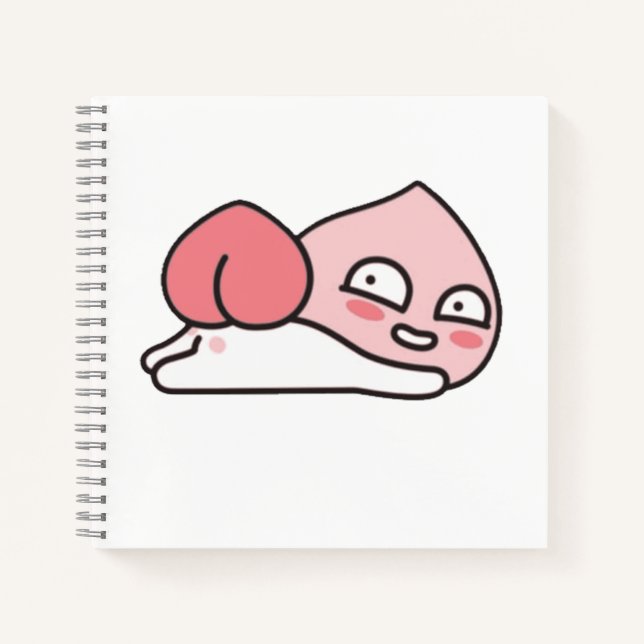 Kakao Friends Apeach Notebook (Front)