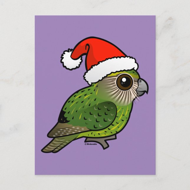 Kakapo Claus Postcard (Front)