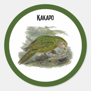 Kakapo Green Owl Parrot Vintage Illustration Classic Round Sticker