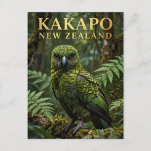 🦜 Kakapo New Zealand Native Bird Postcard
